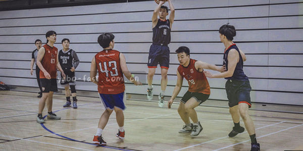 手机、平板、电脑多平台示意图